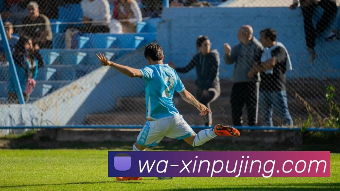 新葡京娱乐平台生态图