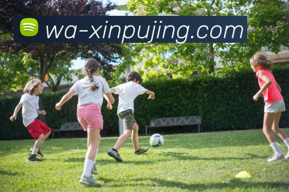 新葡京娱乐全站App